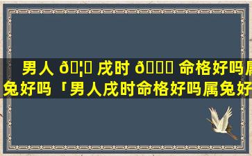 男人 🦁 戌时 🍀 命格好吗属兔好吗「男人戌时命格好吗属兔好吗婚姻好吗」